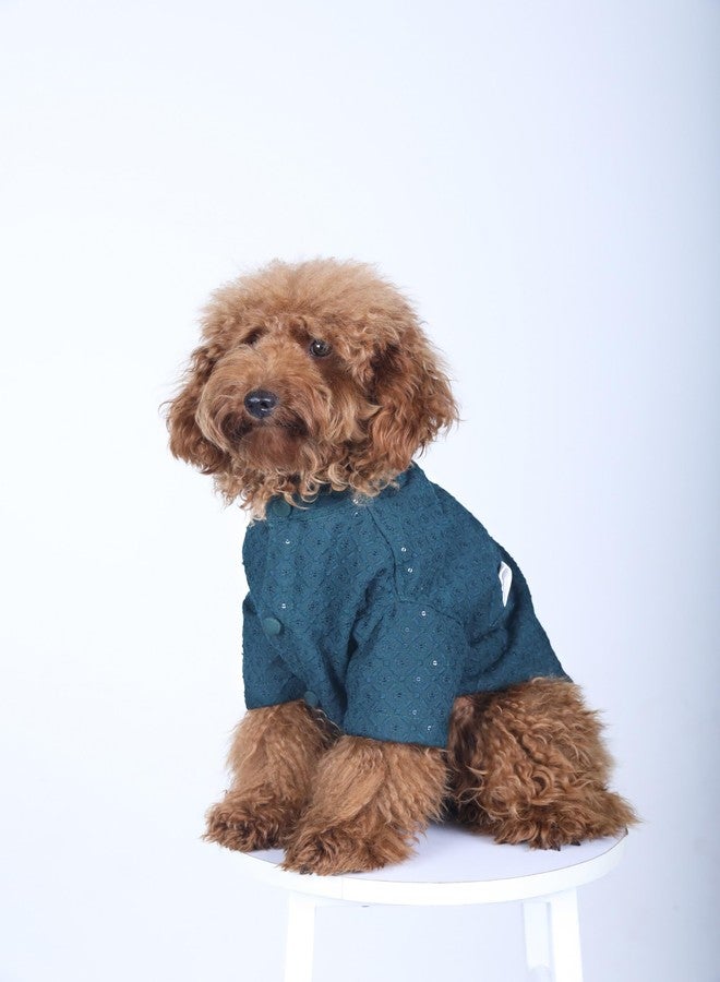 15 Buttons Dog Peacock Blue Sequence Work Sherwani | Pure Cotton Fabric | Wedding Dress for Pets | Comfortable Ethnic Summer Outfit Choice | for All Occasions | for French Bulldog (XL) - Image 1